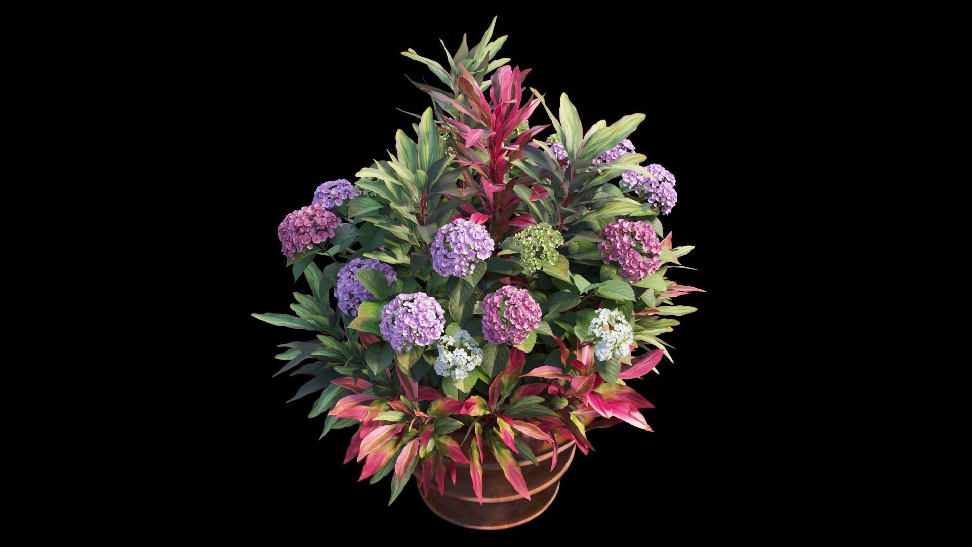 Hydrangea in planters set 07 3D model_7