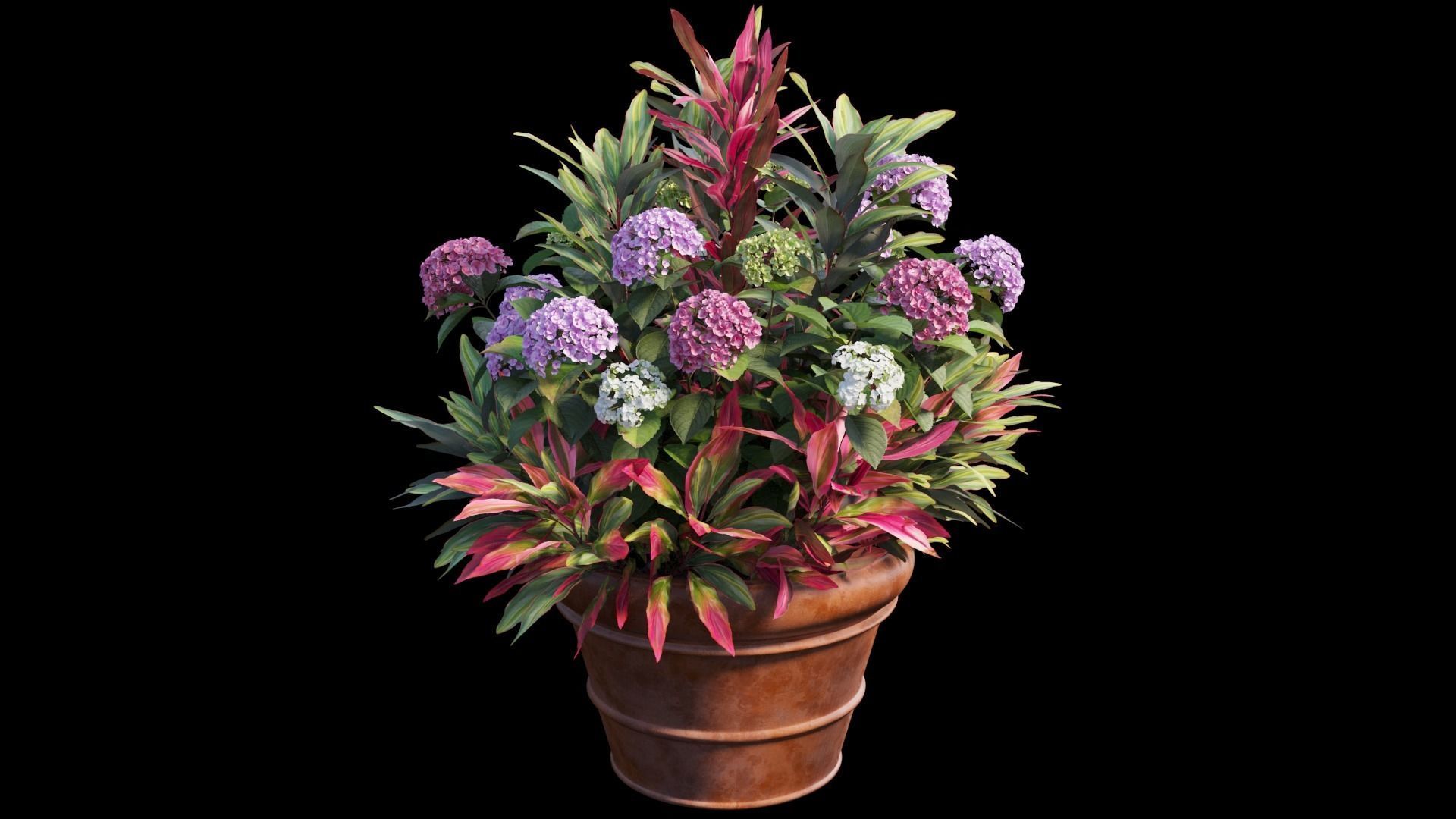 Hydrangea in planters set 07 3D model_6