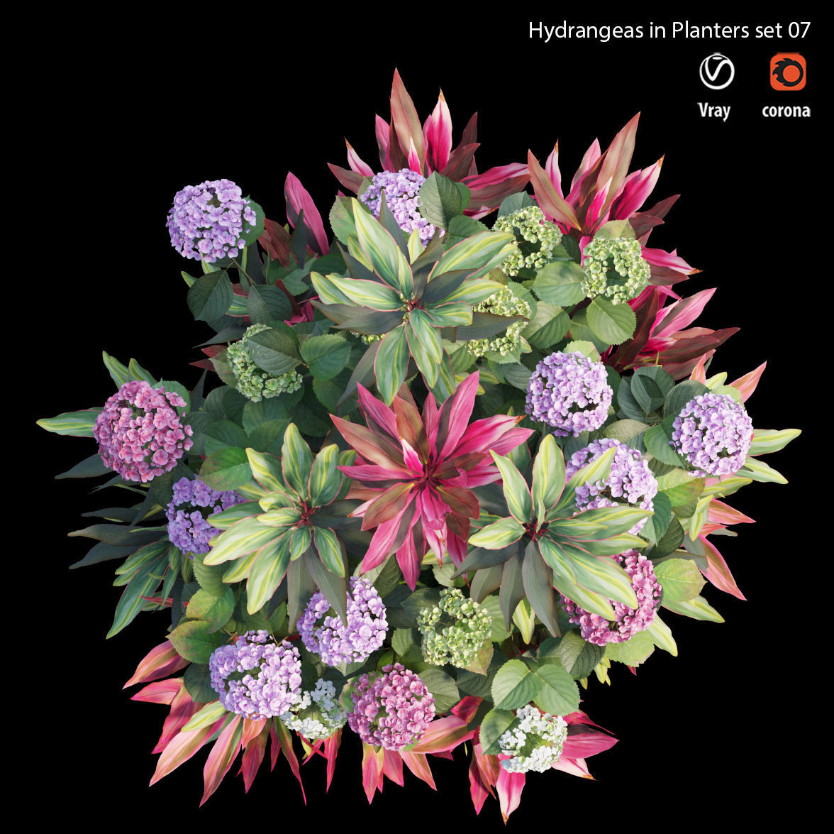 Hydrangea in planters set 07 3D model_4