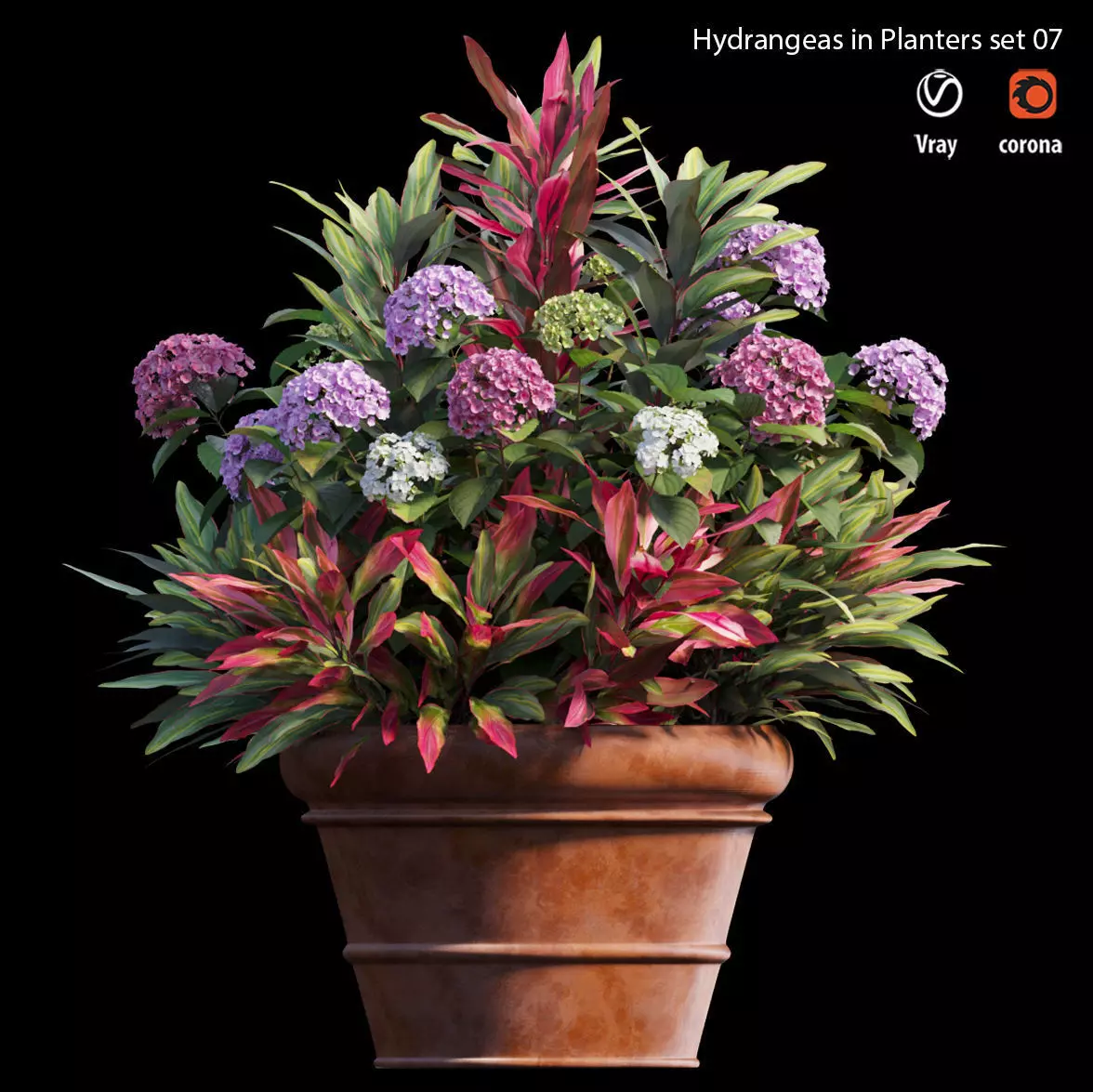 Hydrangea in planters set 07 3D model_0