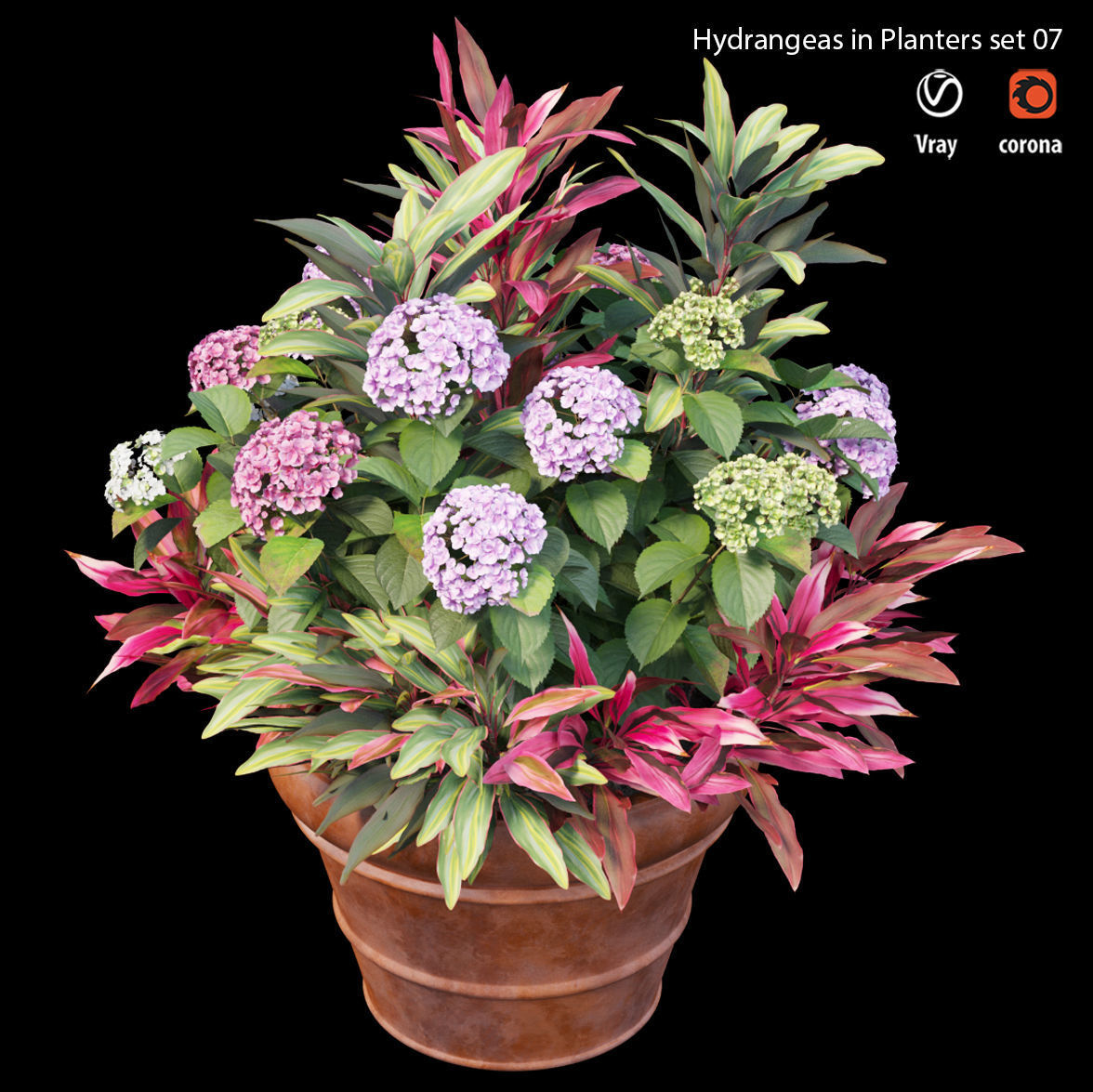Hydrangea in planters set 07 3D model_3