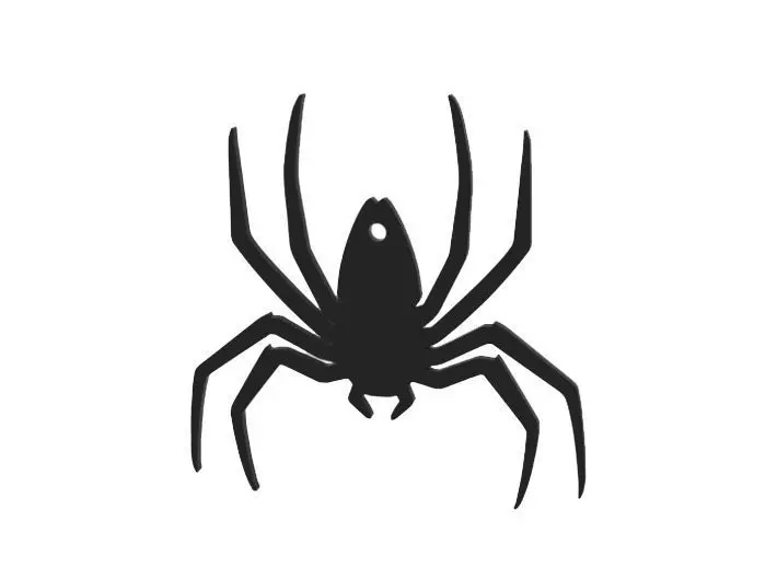 Decoration silhouette of spider 3D print model_0