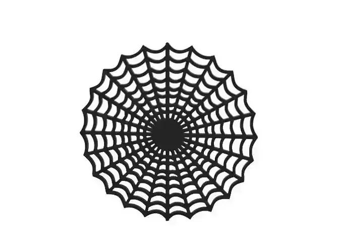 Coaster spider web