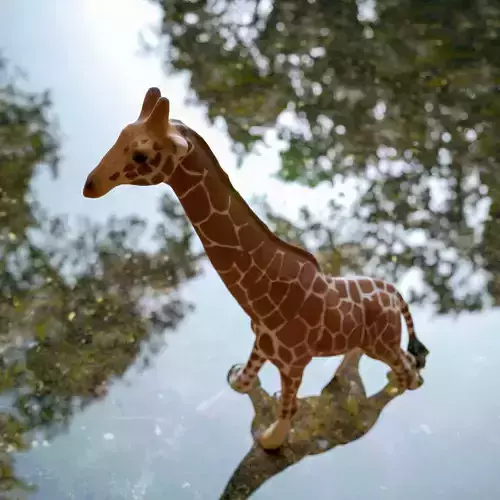 Giraffe Toy