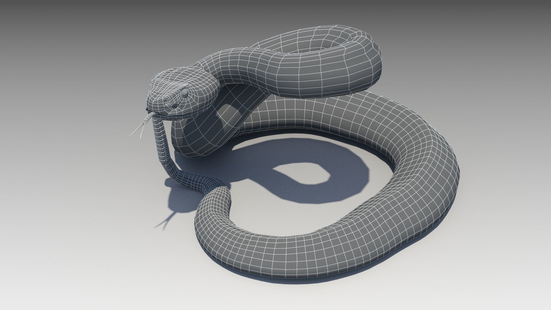 Rattlesnake Low-poly 3D model_8