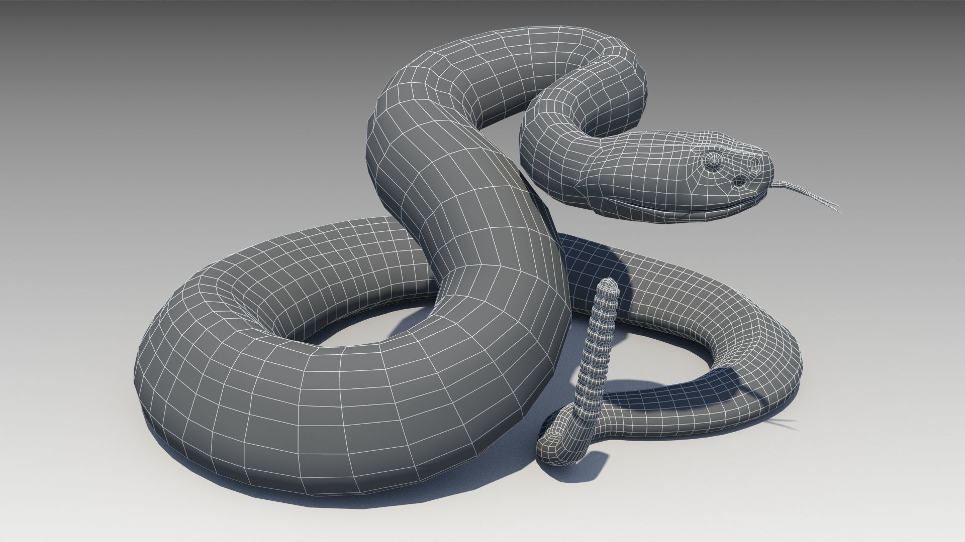 Rattlesnake Low-poly 3D model_7