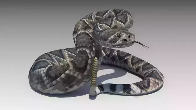 Rattlesnake Low-poly 3D model