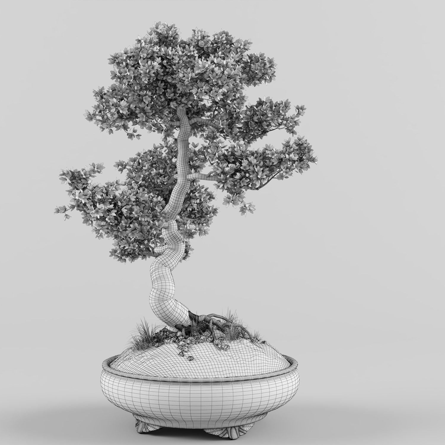 Sakura Bonsai tree 3D model_7
