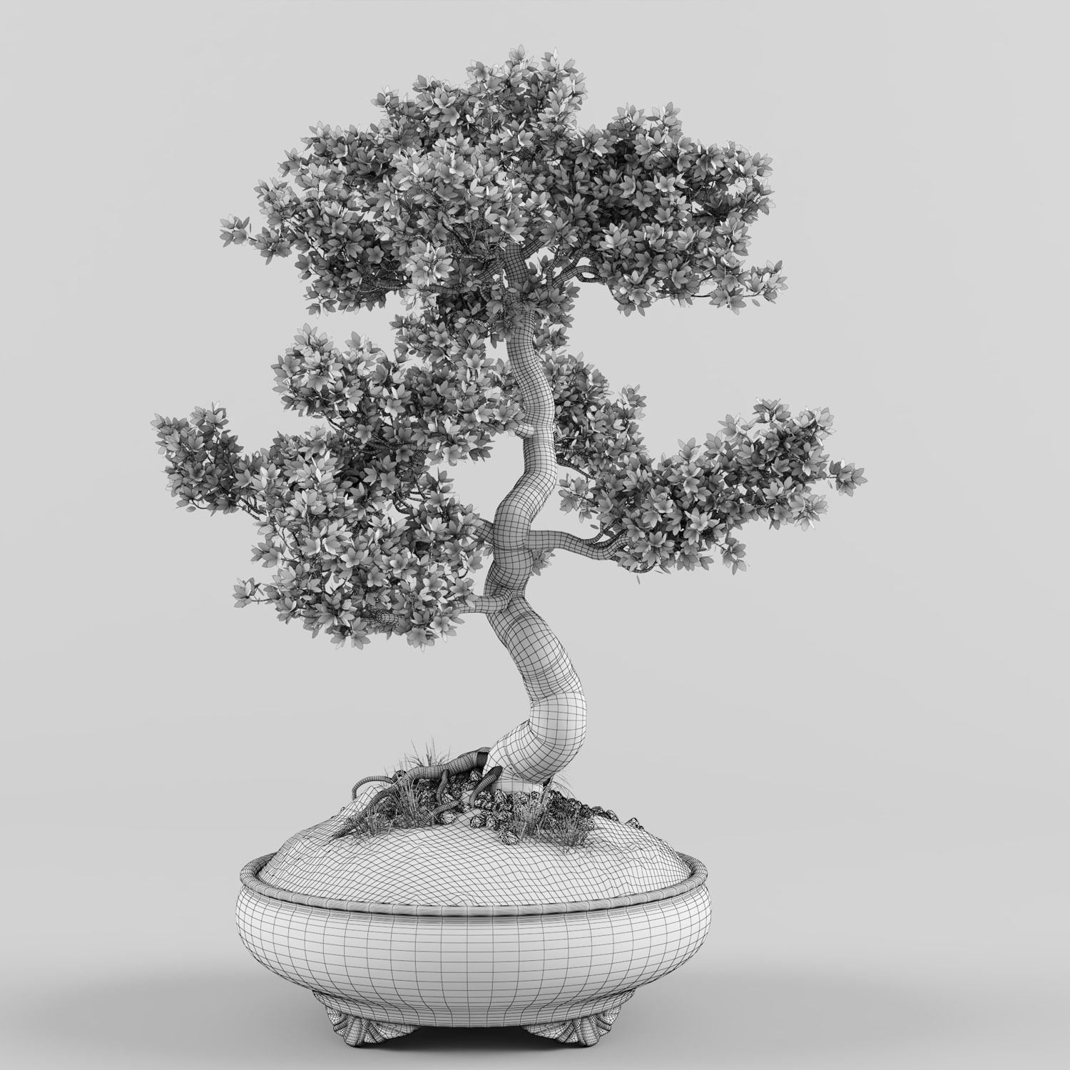 Sakura Bonsai tree 3D model_6