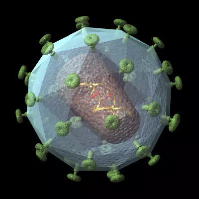 HIV Virus 3D model_0
