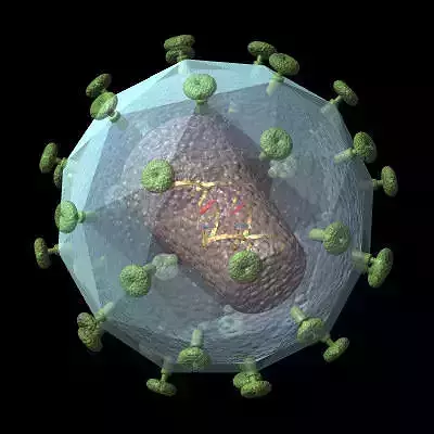 HIV Virus 3D model
