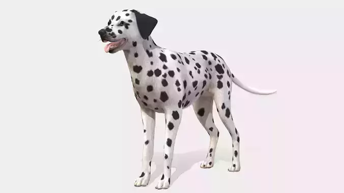 Dog - Dalmatian Low-poly 3D model