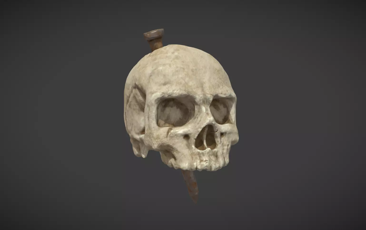 Studded Skull 3D model