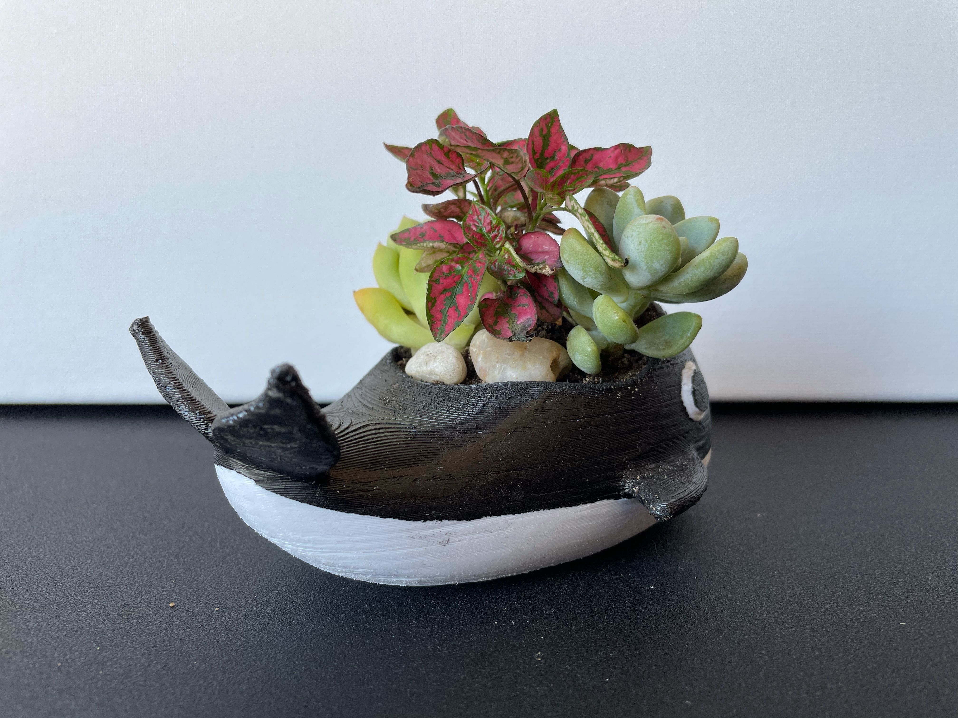 Orca Planter 3D print model_2