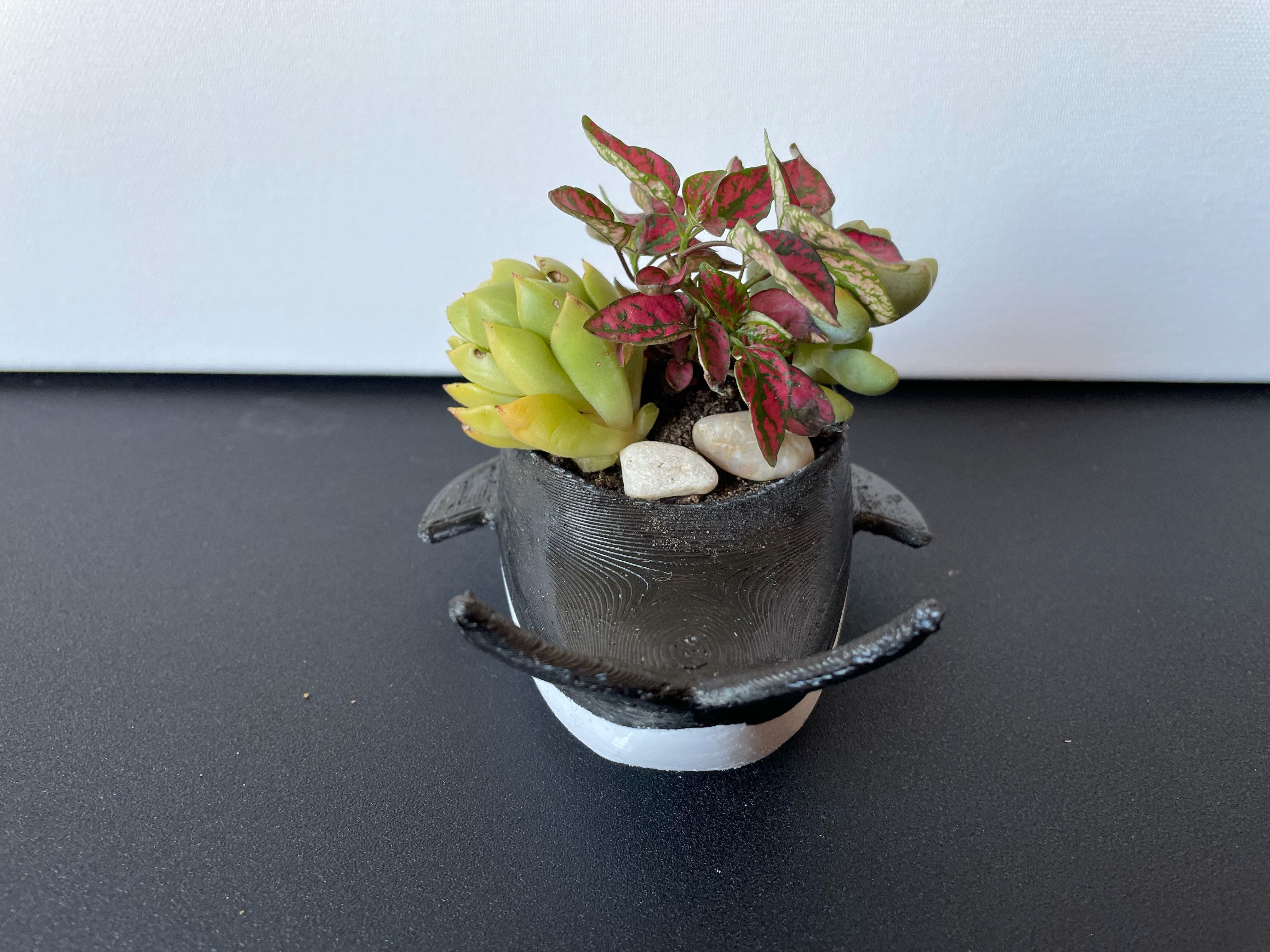 Orca Planter 3D print model_4