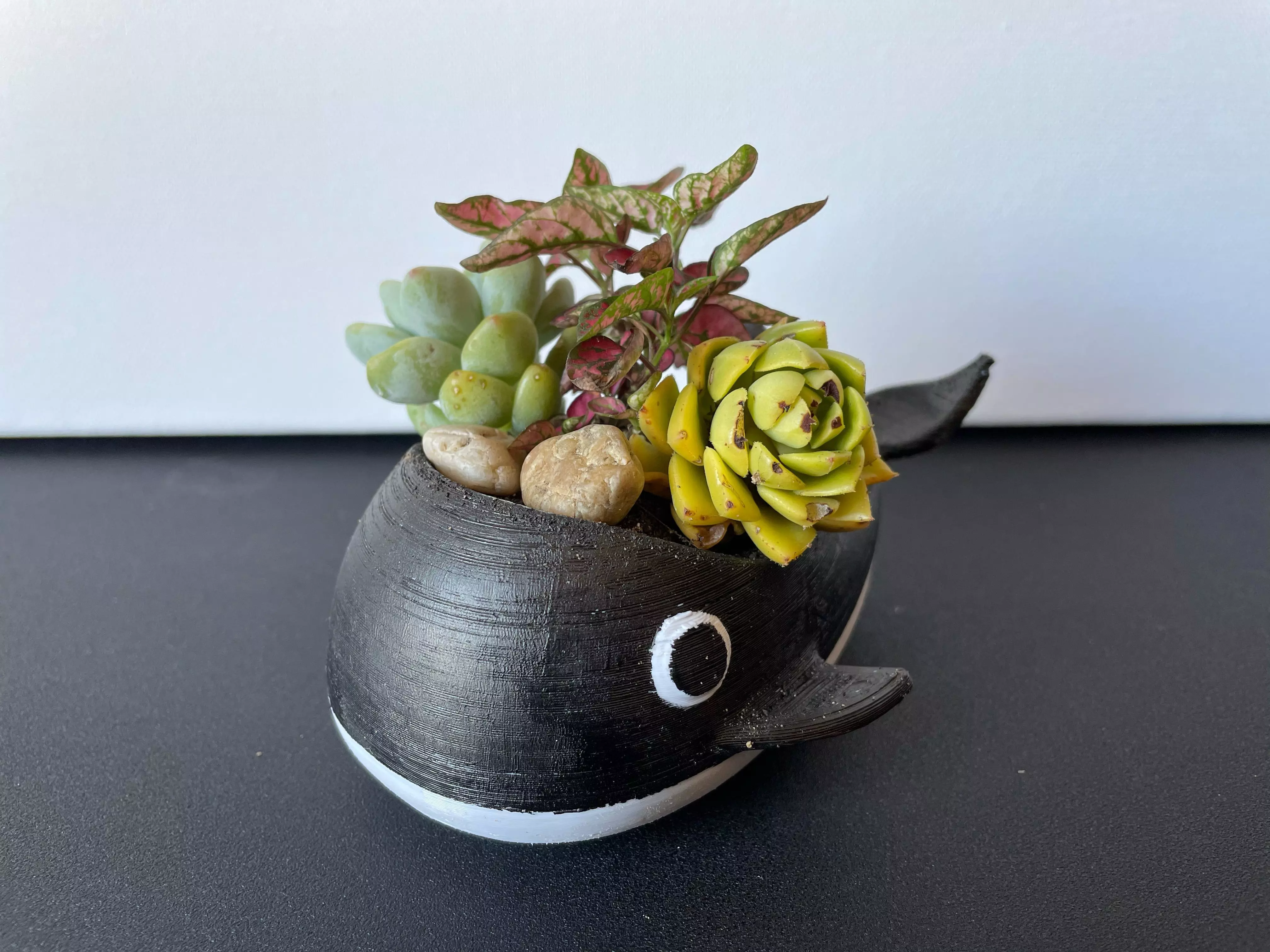 Orca Planter 3D print model_0