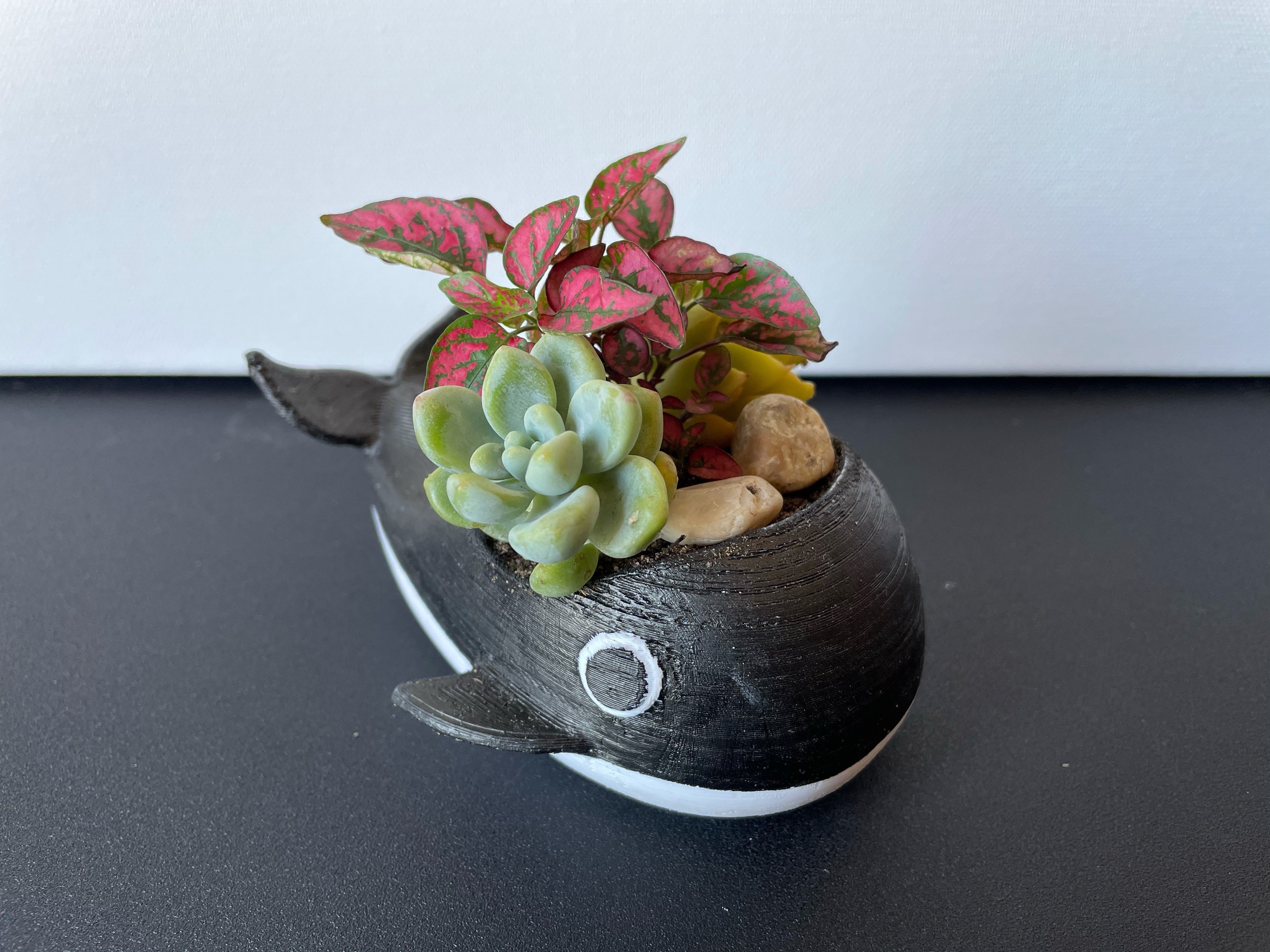 Orca Planter 3D print model_5