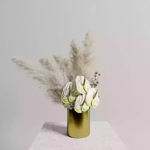 Anthuriums Pampas set 3D model