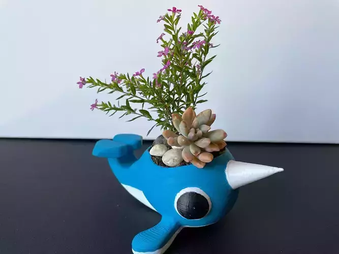 Narwhal Planter