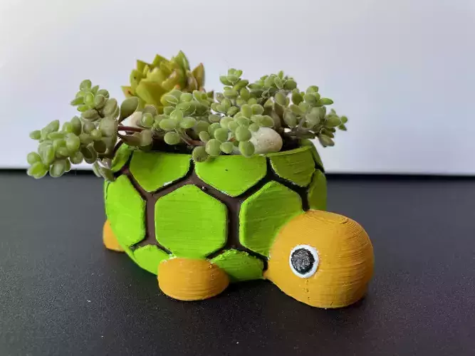 Lonesome George - The Tortoise planter