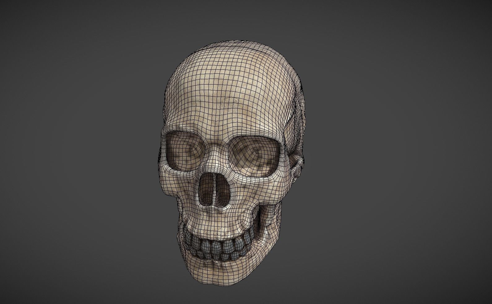 Skull bumper 3D model_3