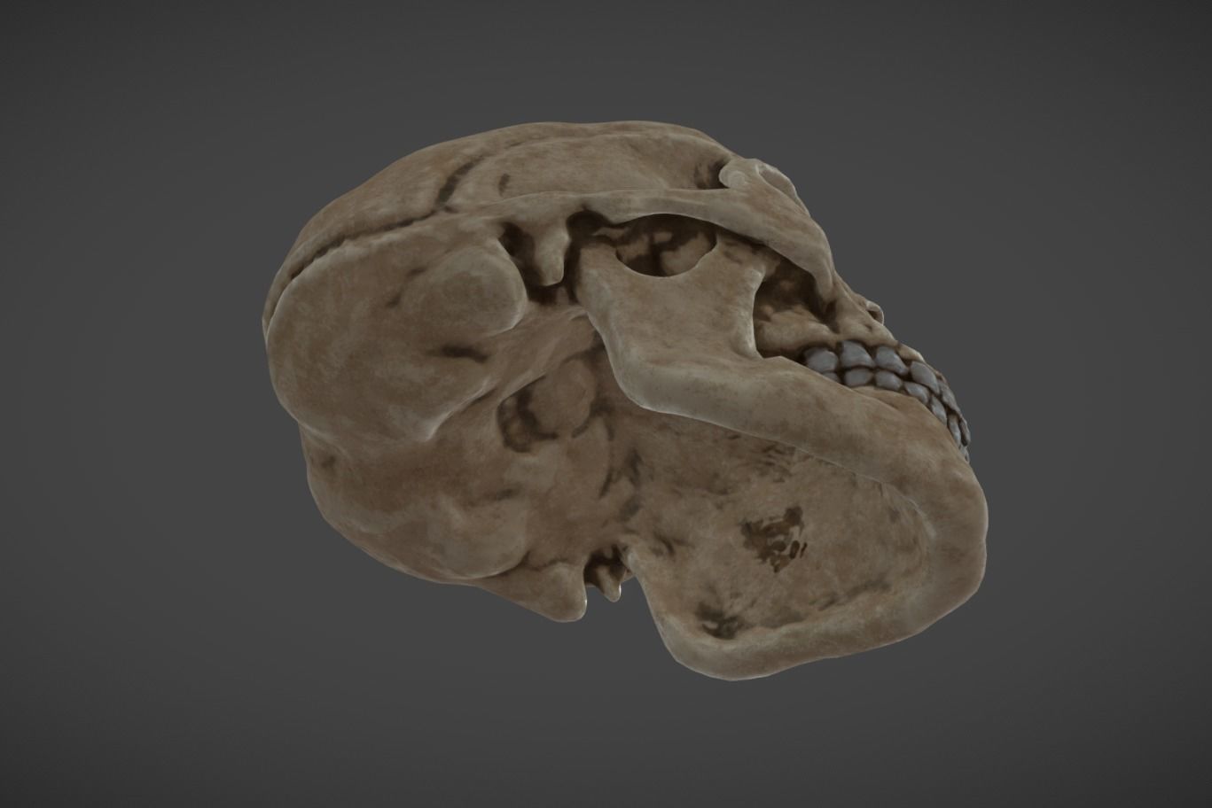 Skull bumper 3D model_2