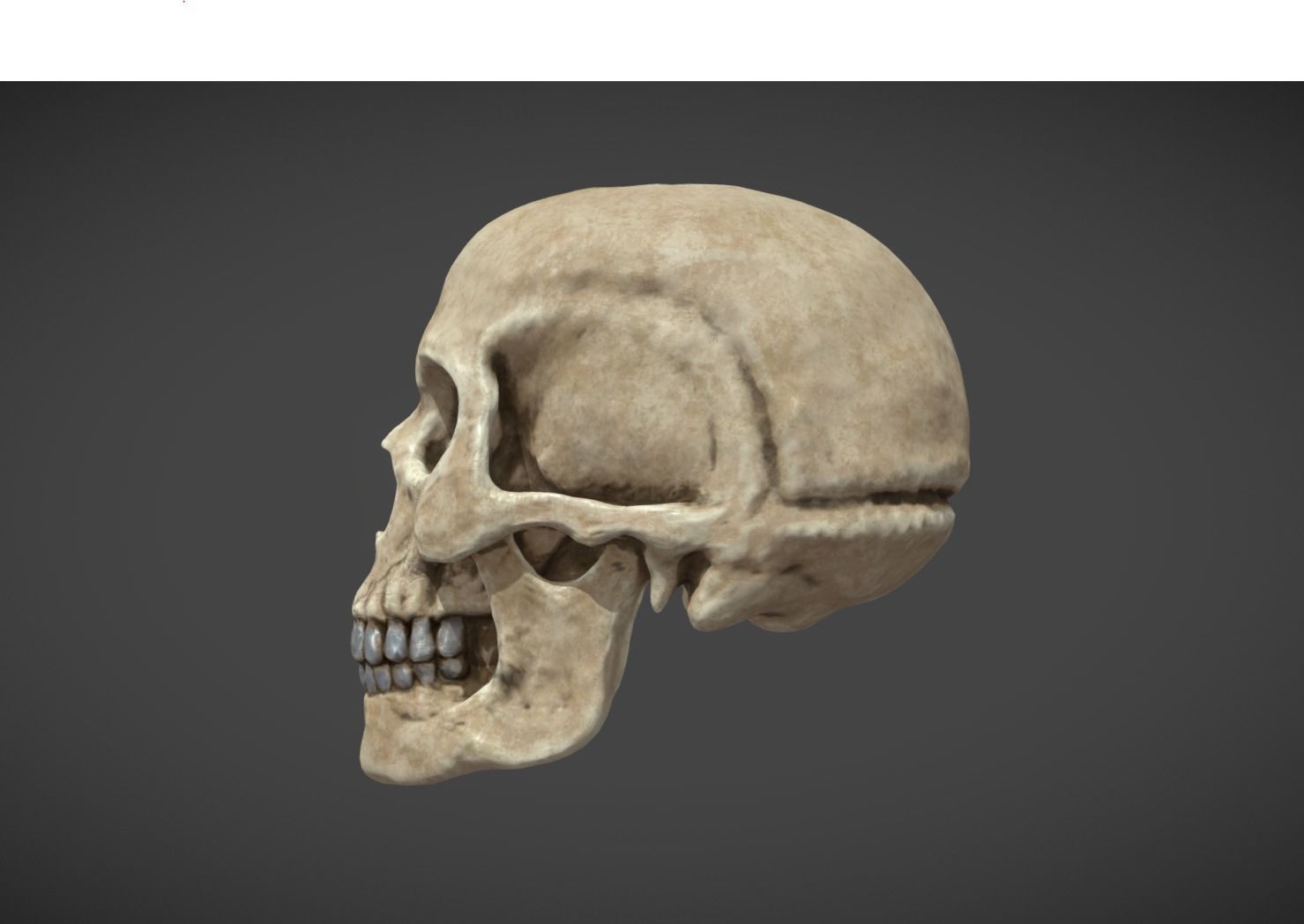 Skull bumper 3D model_1