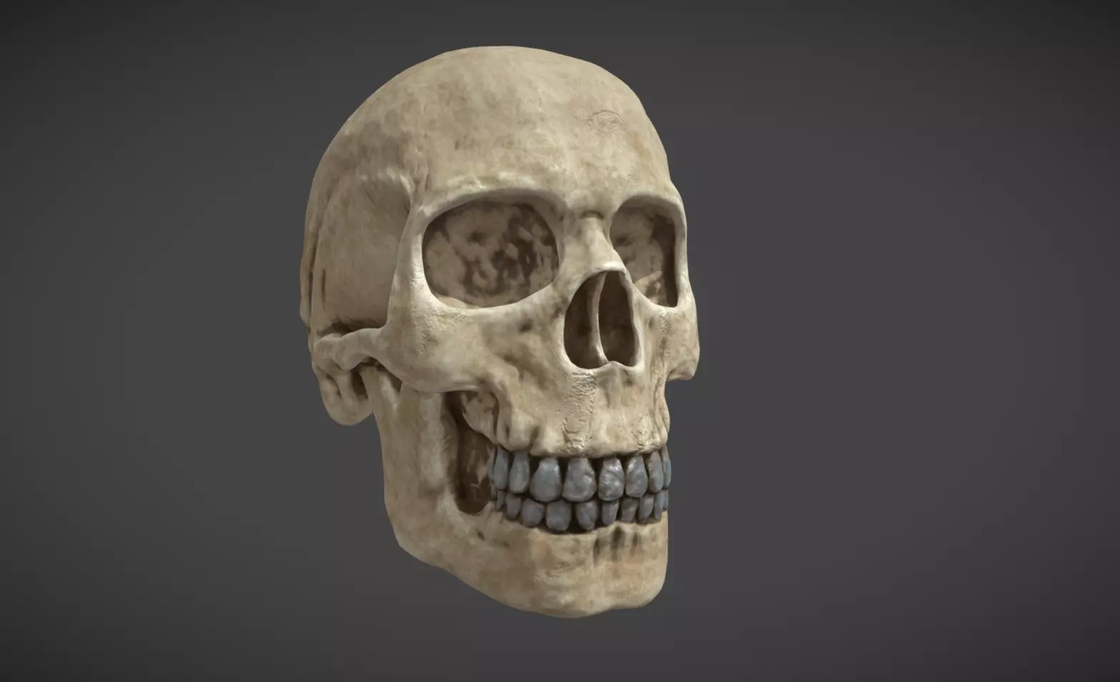 Skull bumper 3D model_0