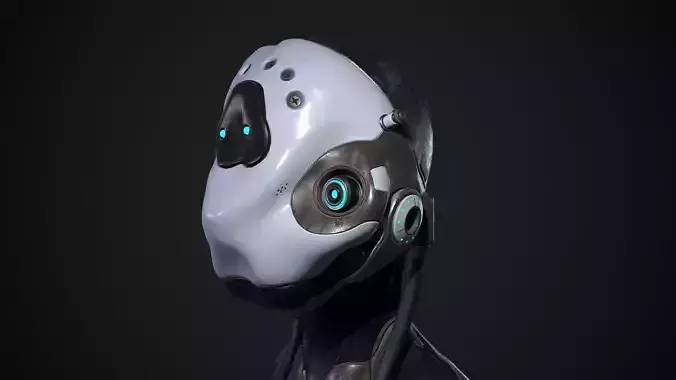 Robot Head