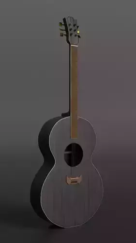 Acoustic Guitar