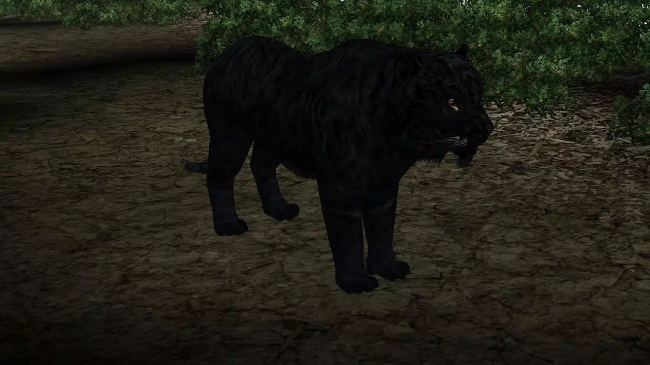 Black Tiger 3D model