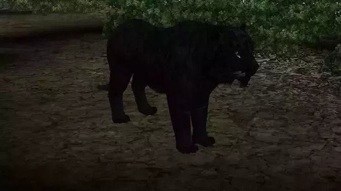 Black Tiger
