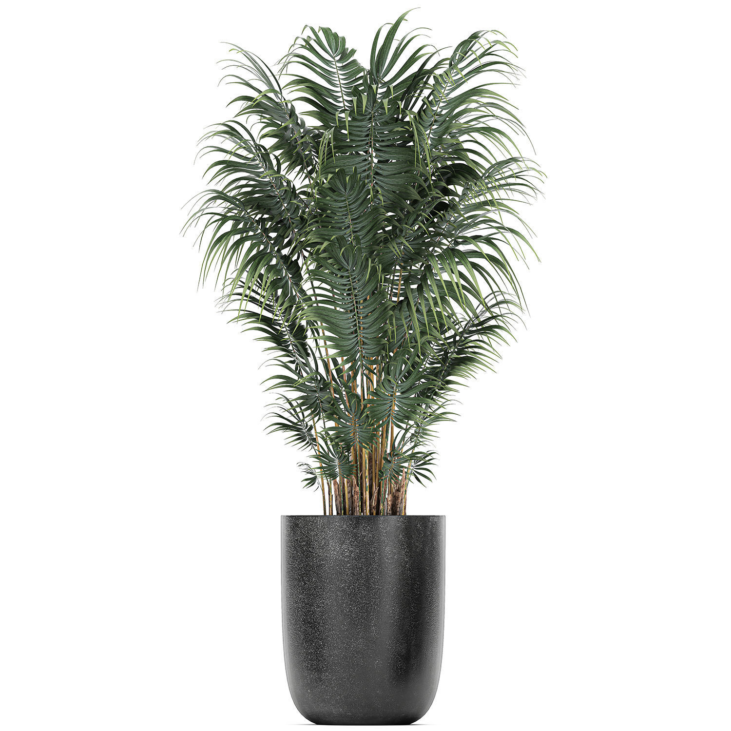 Collection of decorative plants in flowerpots 816 3D model_6