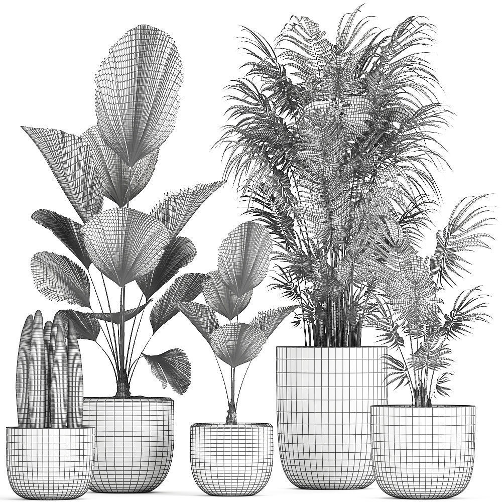 Collection of decorative plants in flowerpots 816 3D model_9