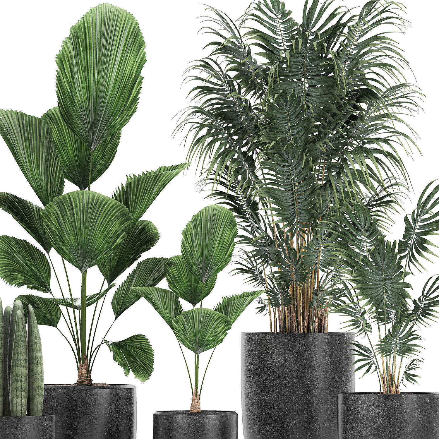 Collection of decorative plants in flowerpots 816 3D model_3