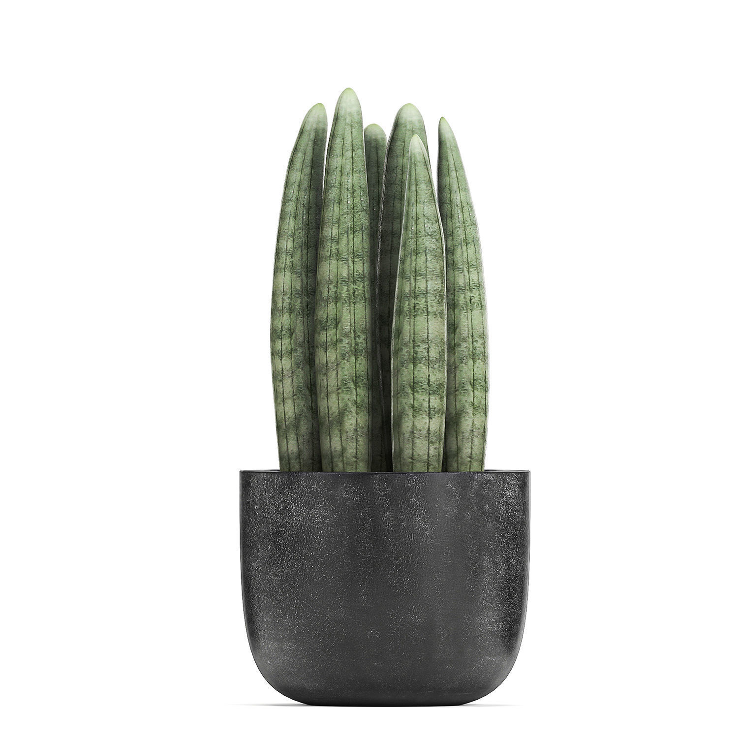 Collection of decorative plants in flowerpots 816 3D model_7