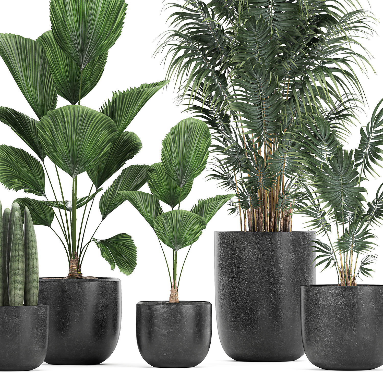 Collection of decorative plants in flowerpots 816 3D model_1