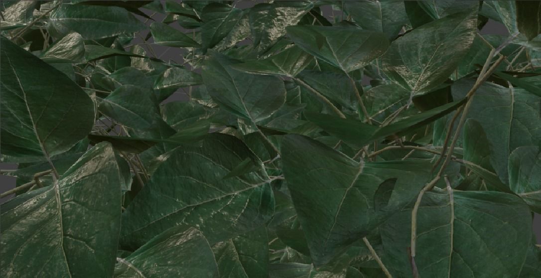  3 plant 3d models 3D model_7