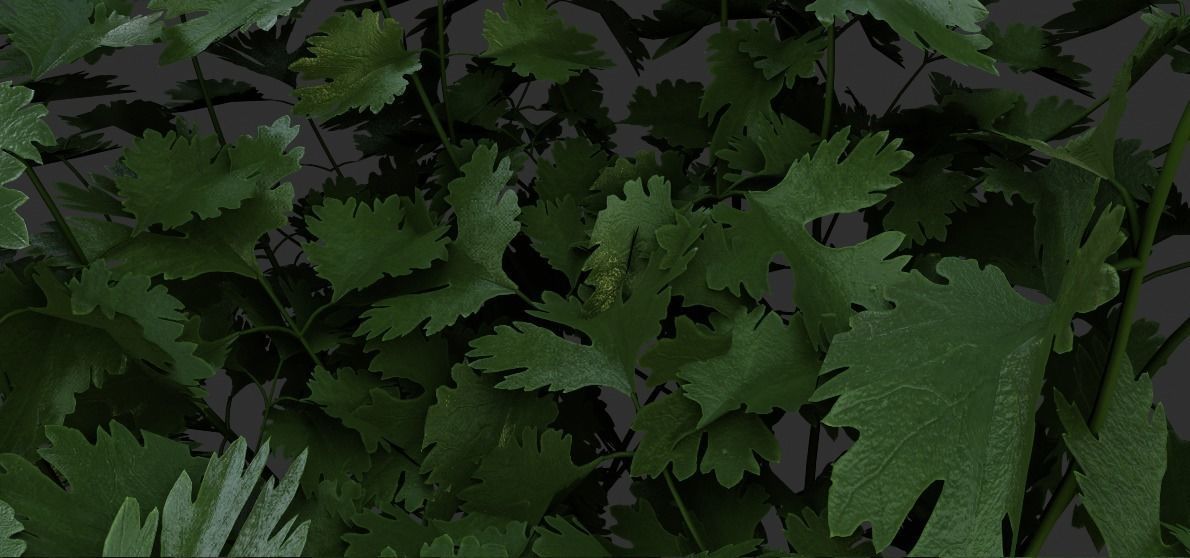  3 plant 3d models 3D model_1