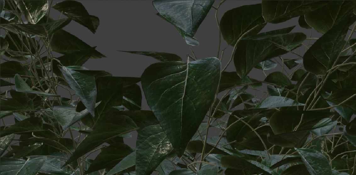  3 plant 3d models 3D model_8