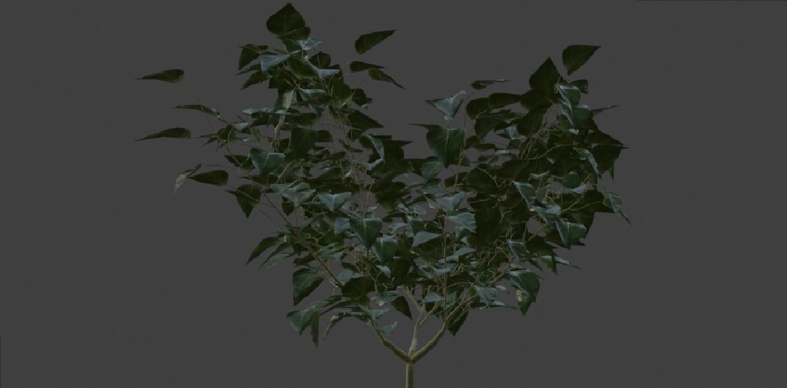  3 plant 3d models 3D model_6