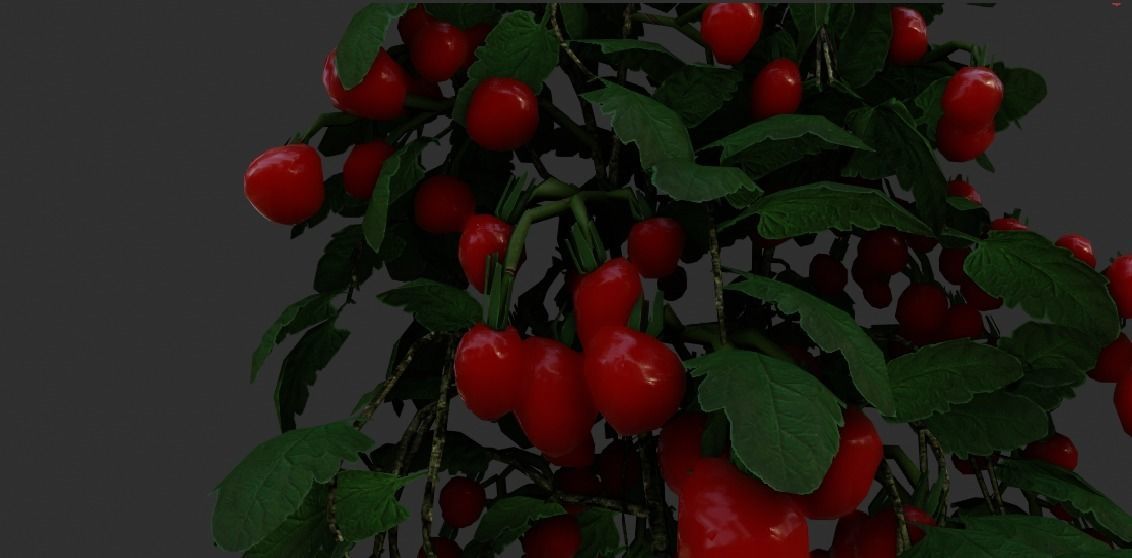  3 plant 3d models 3D model_4