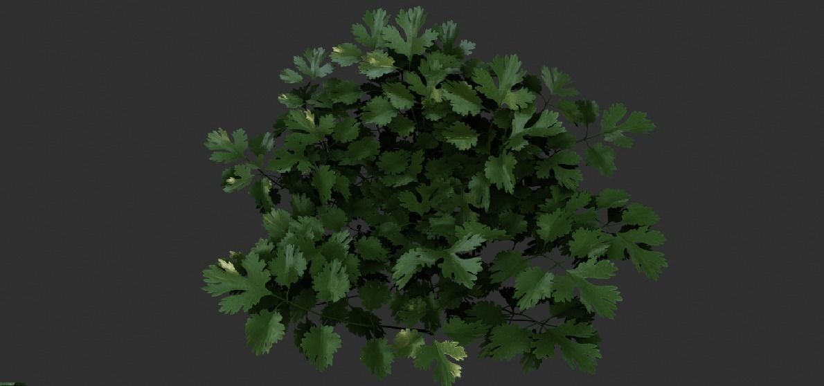  3 plant 3d models 3D model_2