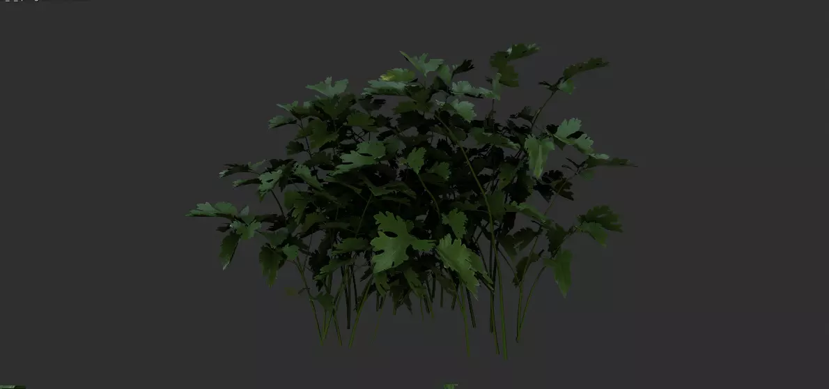  3 plant 3d models 3D model_0