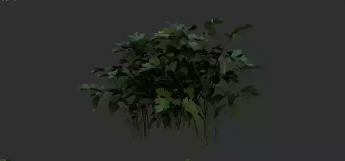  3 plant 3d models