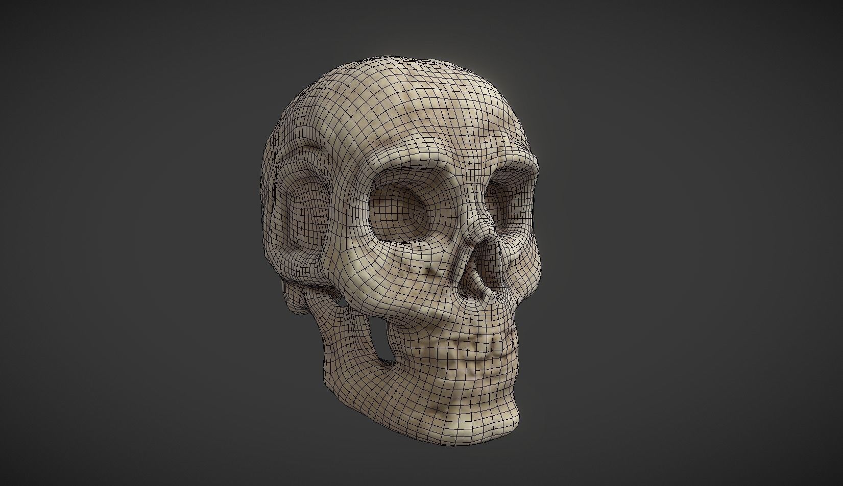 Skull 2 human Low-poly 3D model_2