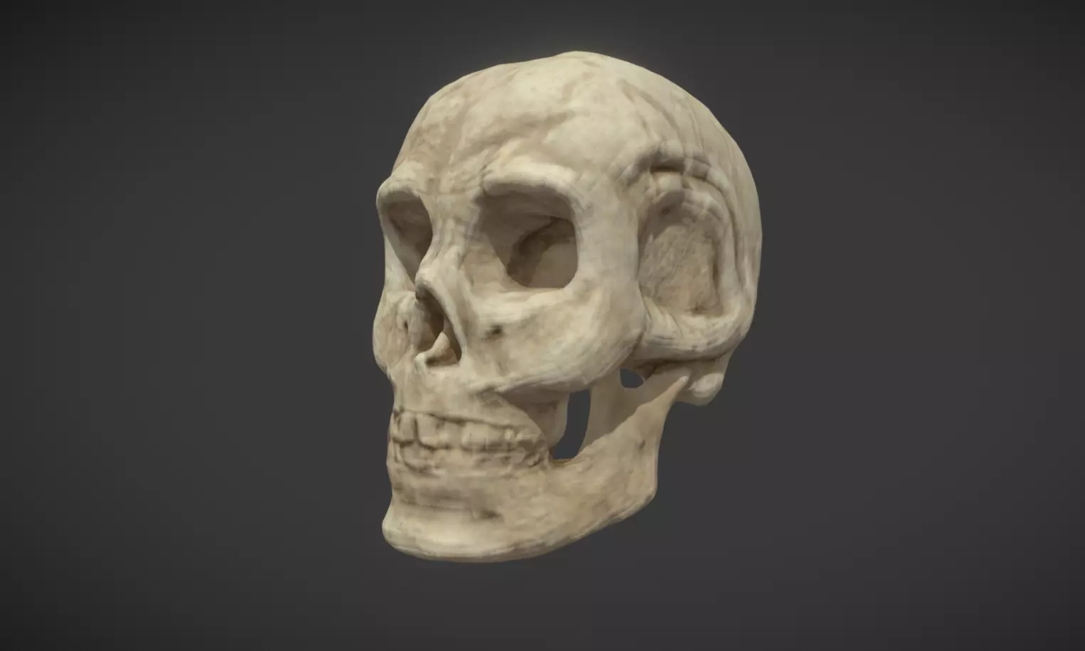 Skull 2 human Low-poly 3D model_0