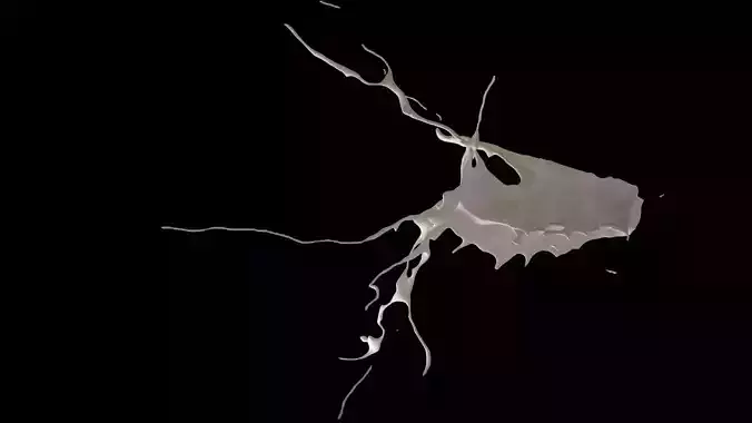 Splash 5 3D model