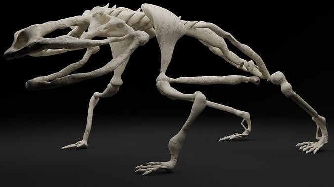 Frog skeleton 3D model