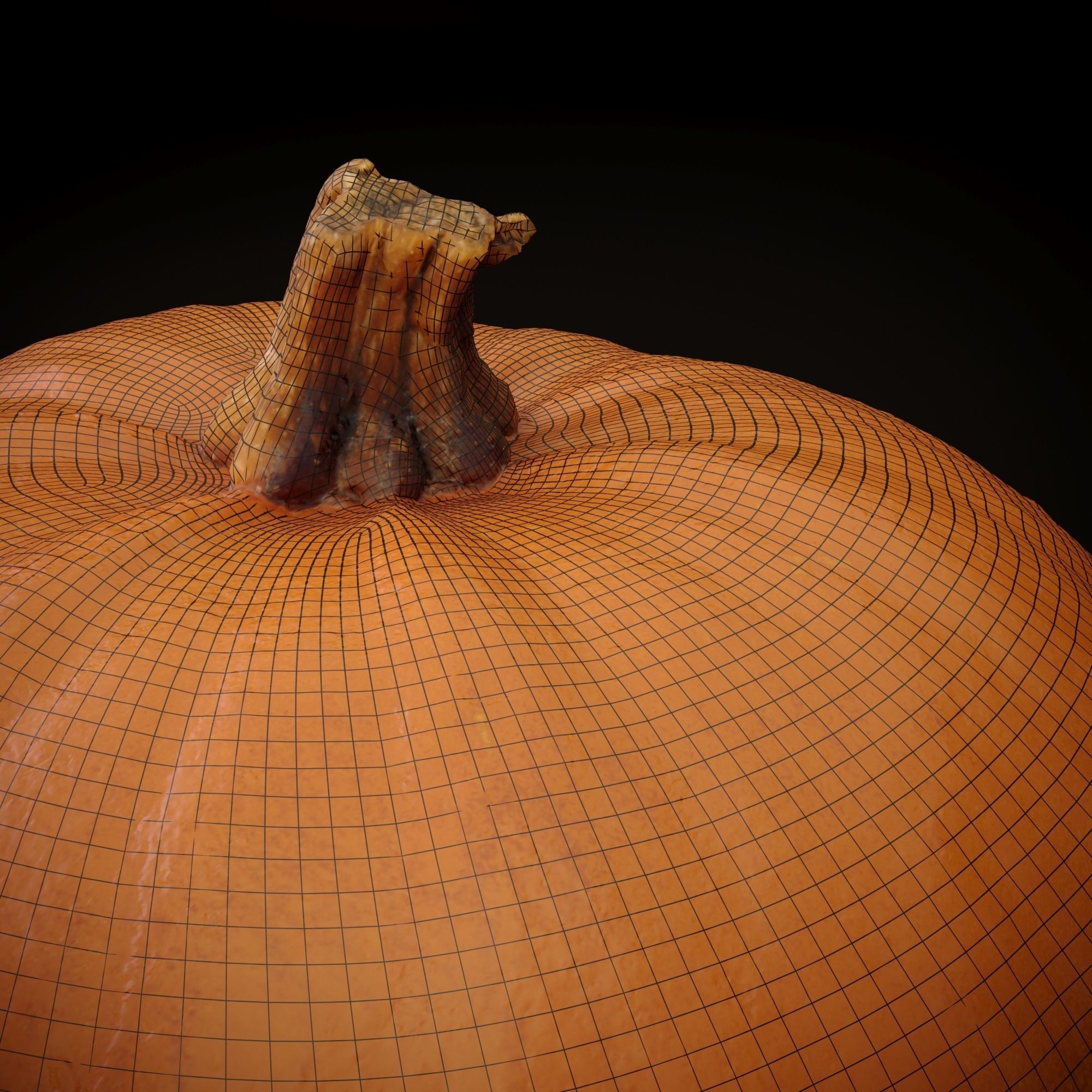 Realistic Pumpkin and Squash Pack - Scanned 3D model_1